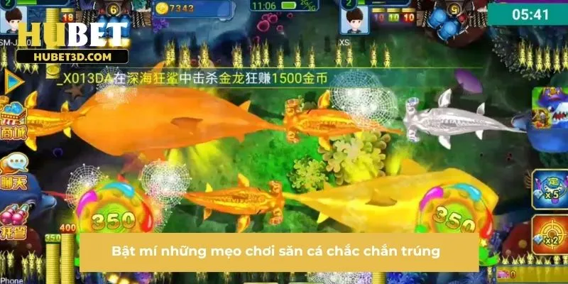 Bật mí những mẹo chơi săn cá chắc chắn trúng 
